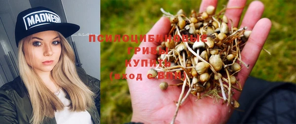 каннабис Аркадак