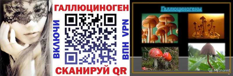 блэк спрут как зайти  купить закладку  Зуевка  Галлюциногенные грибы прущие грибы 